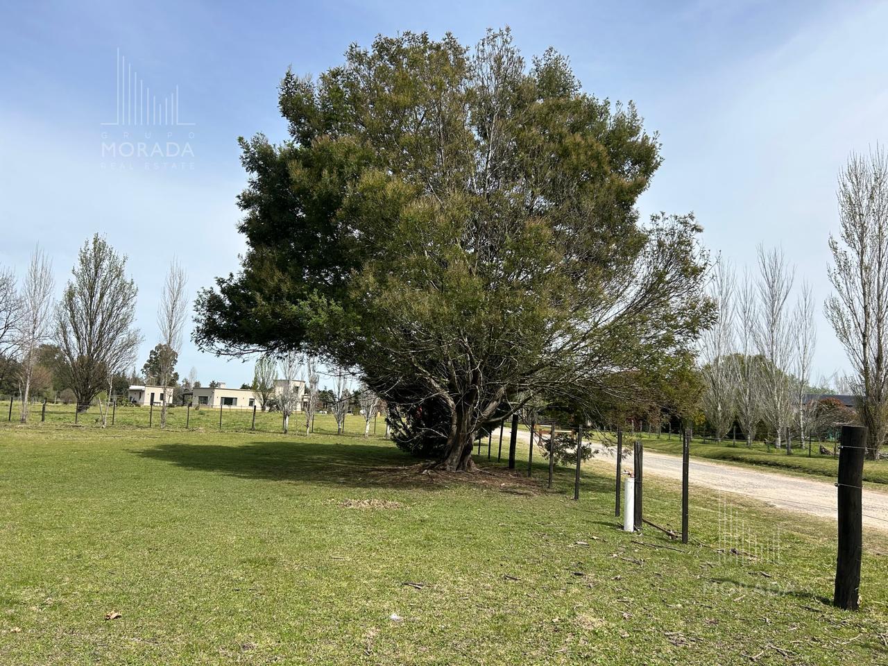 Foto de Venta Terreno 1 hectarea Barrio Cerrado Loma Escondida Lujan con riego, imagen 4