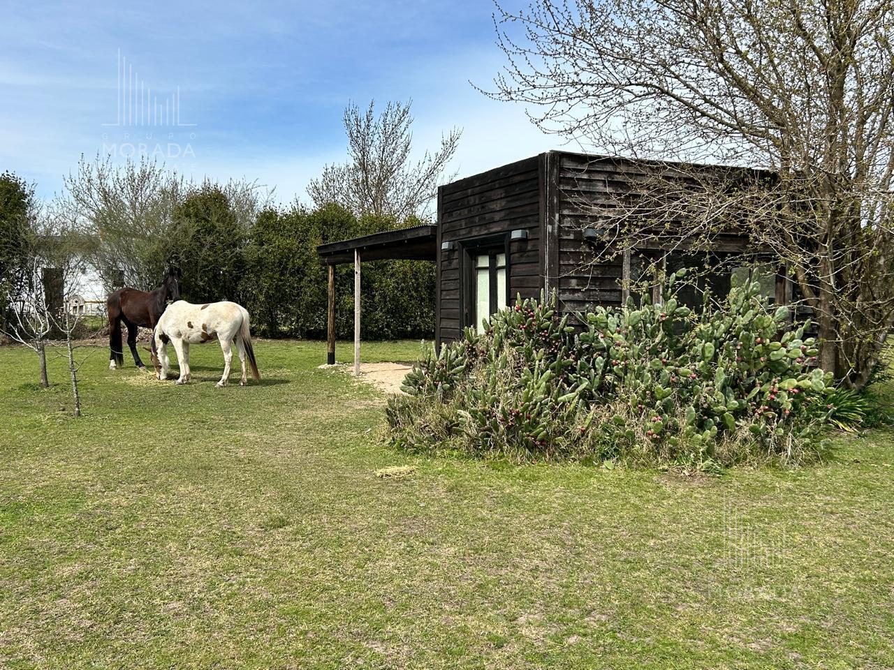 Foto de Venta Terreno 1 hectarea Barrio Cerrado Loma Escondida Lujan con riego, imagen 3