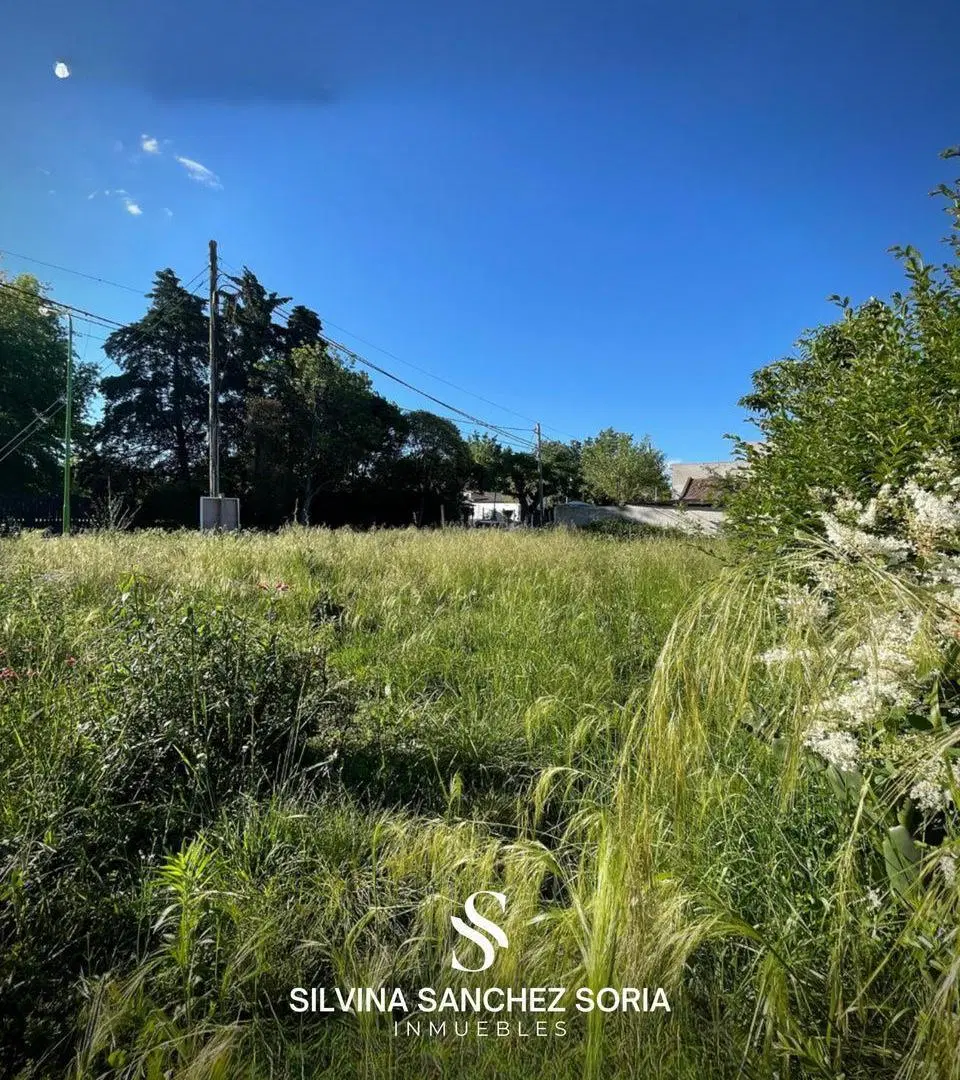 TERRENO EN VENTA, CENTRO DEL PUEBLO LOS CARDALES, SUIPACHA Y MALVINAS ARGENTINAS 3