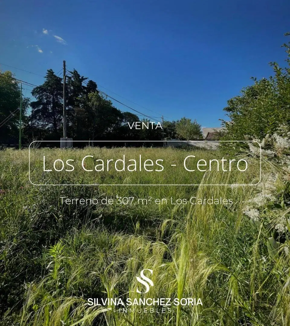 TERRENO EN VENTA, CENTRO DEL PUEBLO LOS CARDALES, SUIPACHA Y MALVINAS ARGENTINAS 1