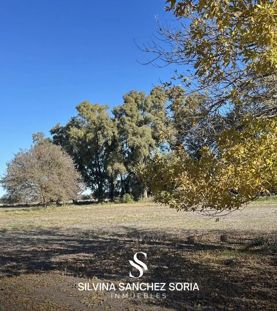 VENTA CAMPO DE 12 HAS CAPILLA DEL SEÑOR 4