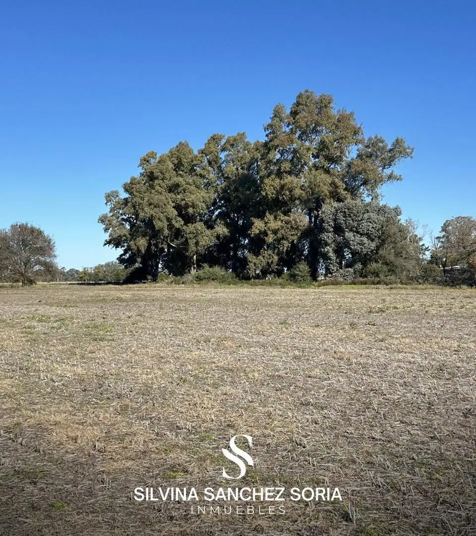 VENTA CAMPO DE 12 HAS CAPILLA DEL SEÑOR 5