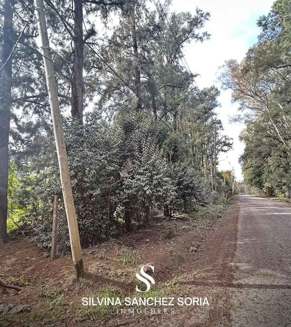 TERRENO EN VENTA DE 2700 EN PARQUE NATURA, LOS CARDALES 2