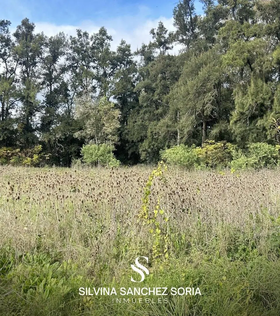 TERRENO EN VENTA DE 2700 EN PARQUE NATURA, LOS CARDALES 3