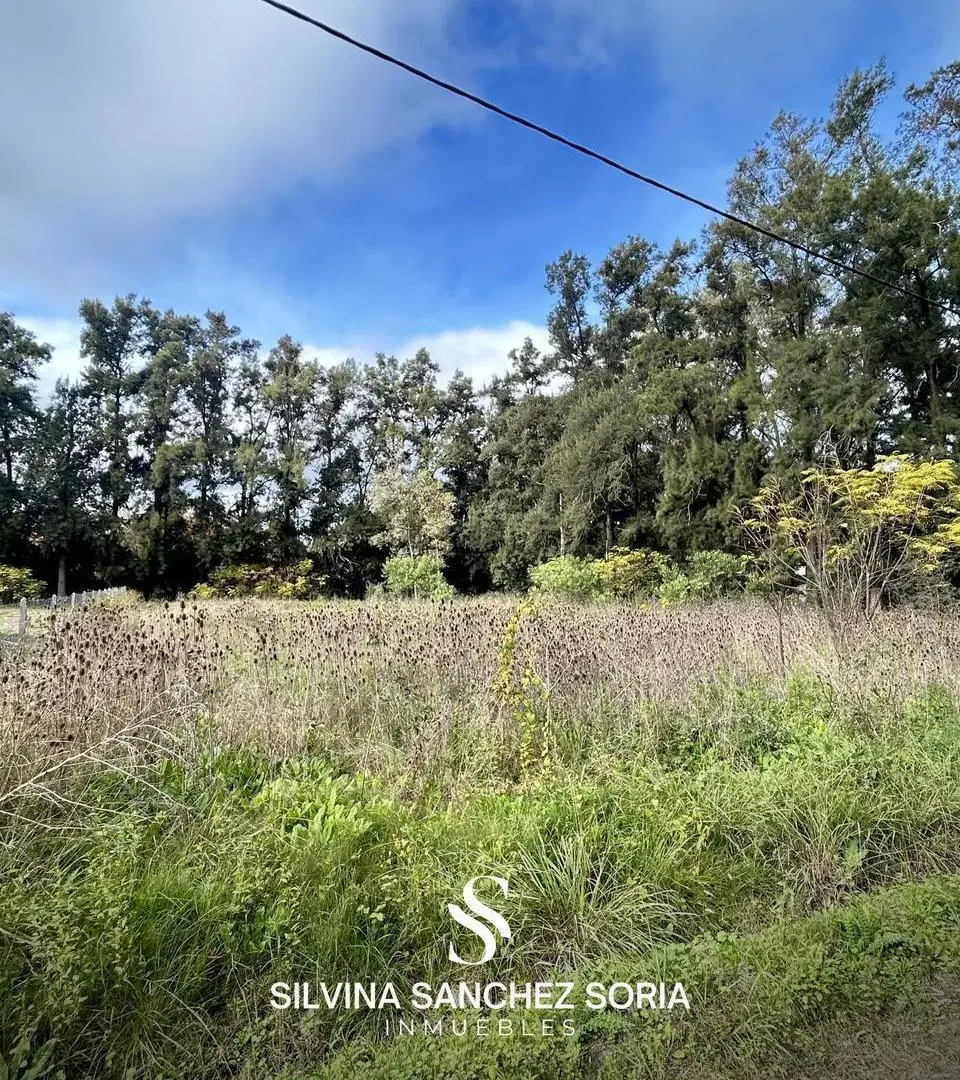TERRENO EN VENTA DE 2700 EN PARQUE NATURA, LOS CARDALES 5