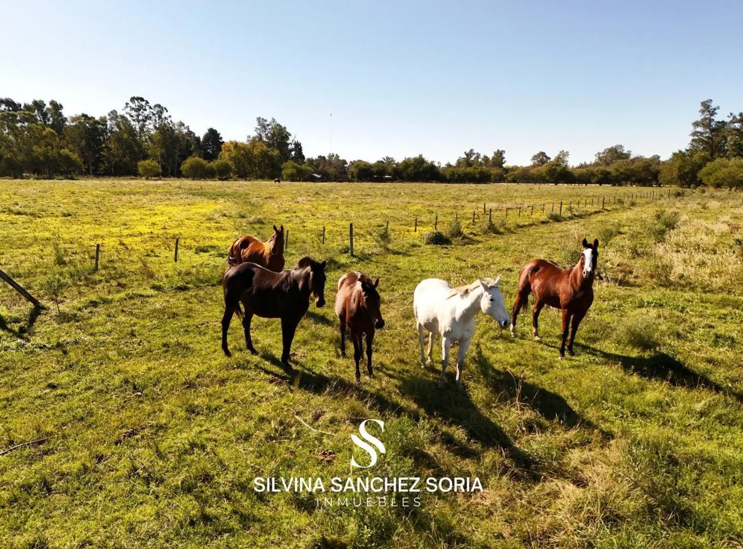 VENTA LOTE DESDE 2000MTS BARRIO LA SORTIJA, LOS CARDALES 3