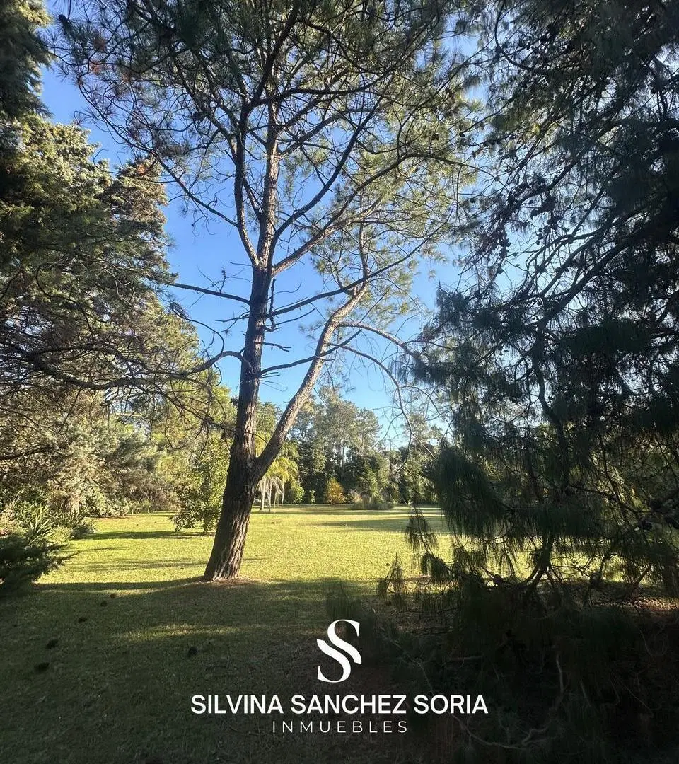 VENTA TERRENO 2800 MTS BARRIO SAN JORGE, LOS CARDALES 5