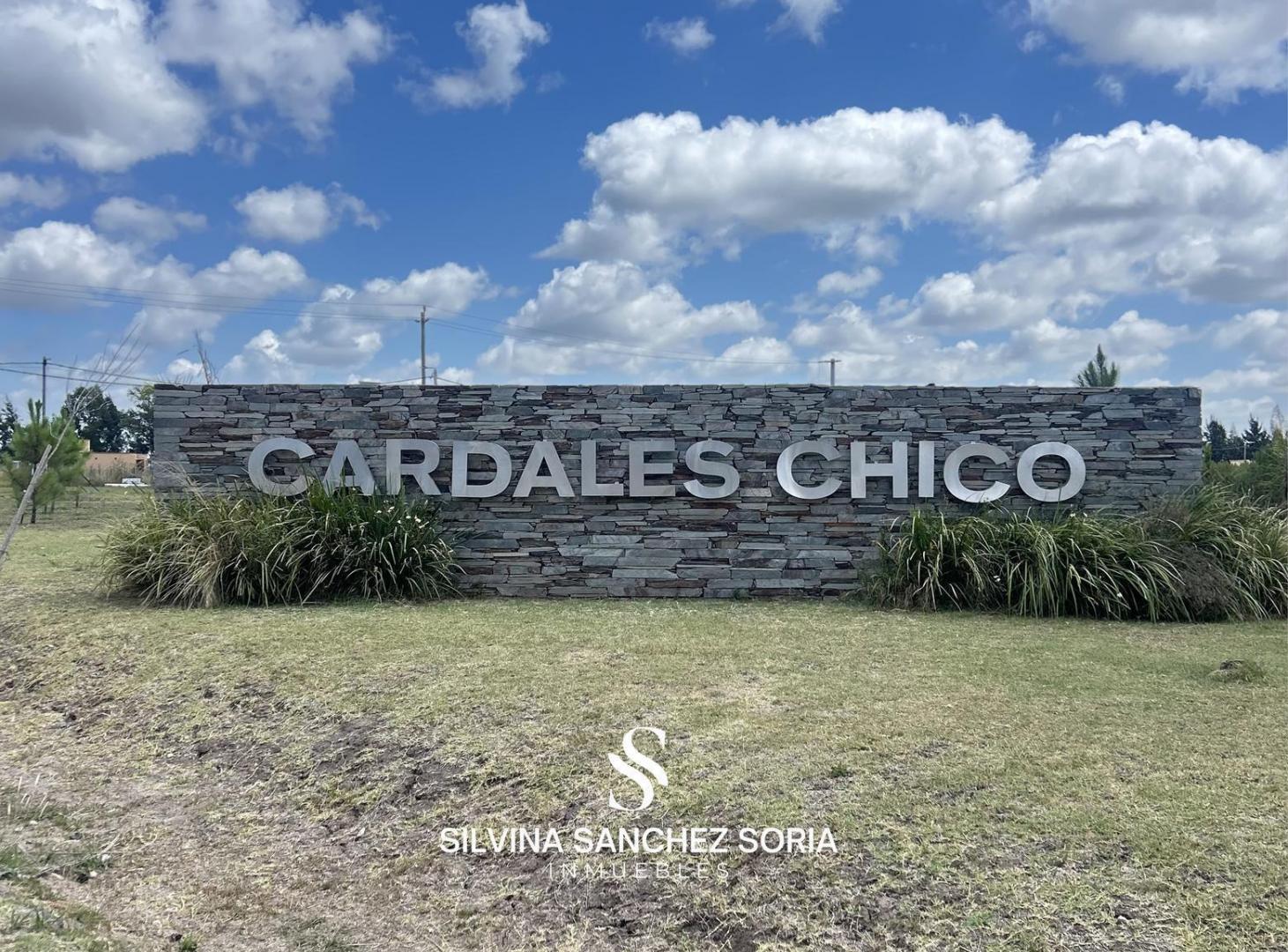 Foto de TERRENO EN VENTA, CARDALES CHICO, imagen 1