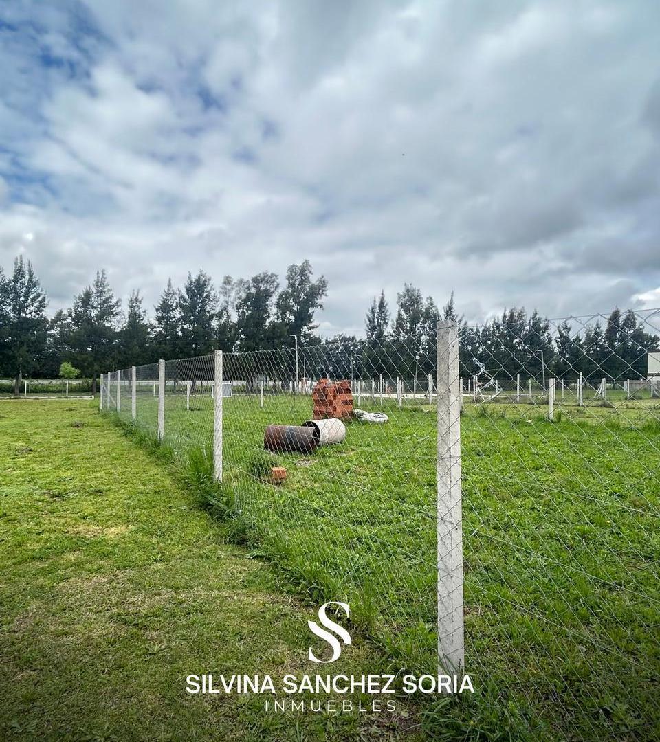 Foto de TERRENO EN VENTA, CARDALES CHICO, imagen 4