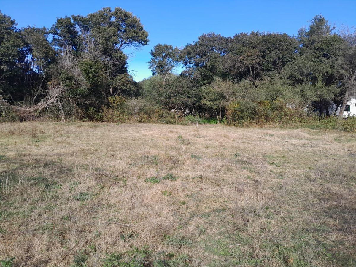 Foto de Terreno en Villa del Totoral. Mejor ubicación!!, imagen 5