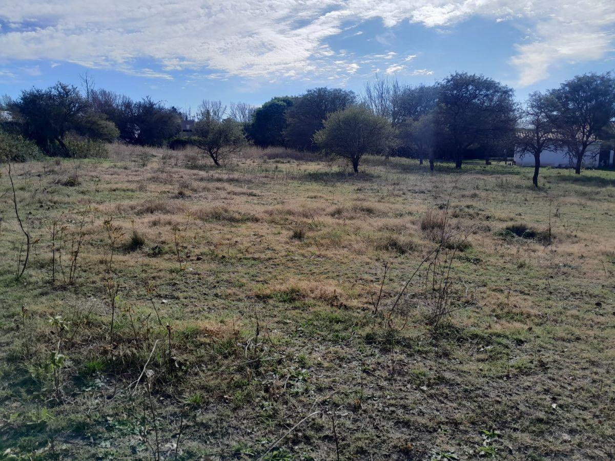 Foto de Terreno en Villa del Totoral. Mejor ubicación!!, imagen 3