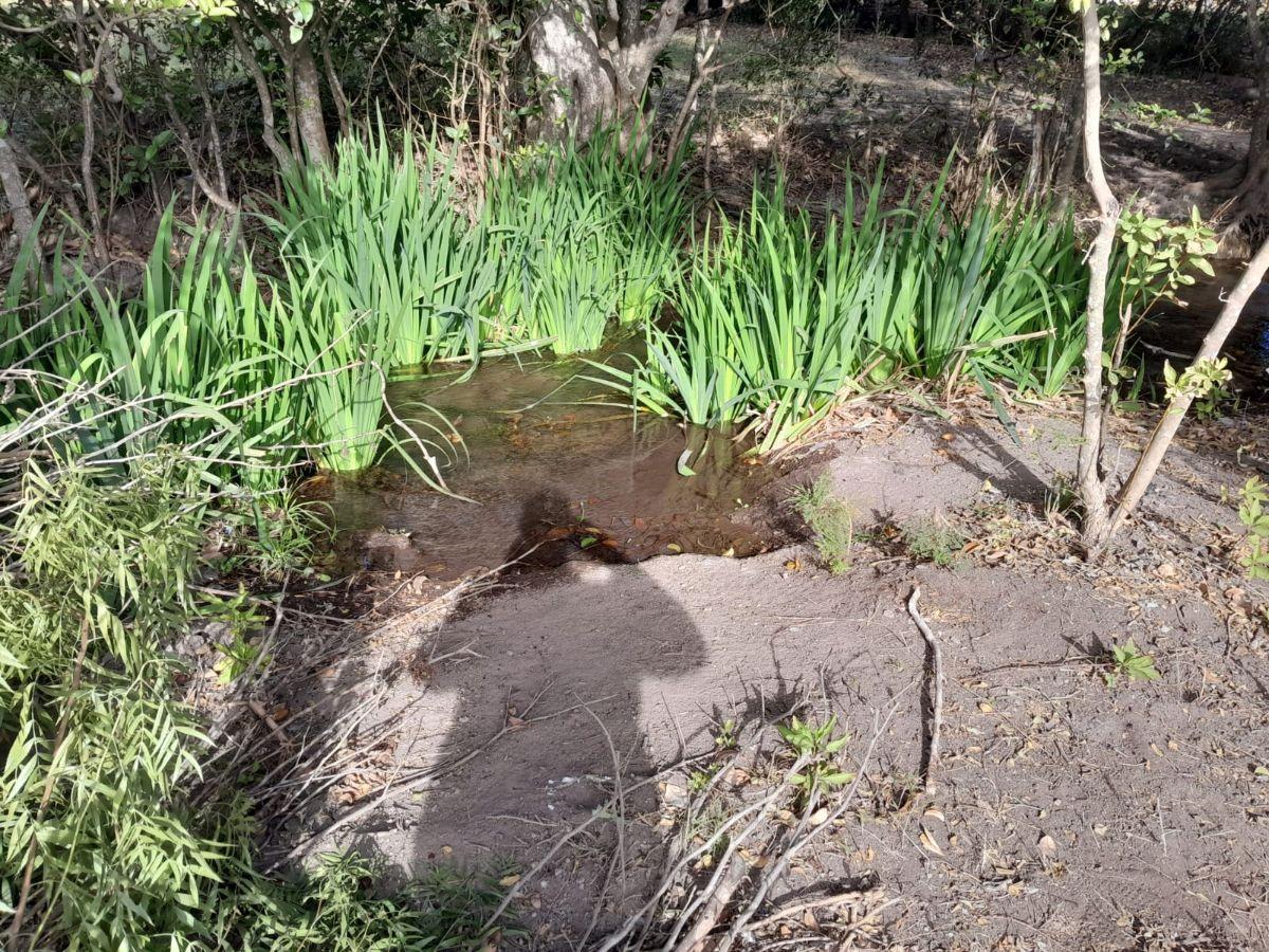 Foto de Terreno en Villa del Totoral. Mejor ubicación!!, imagen 2