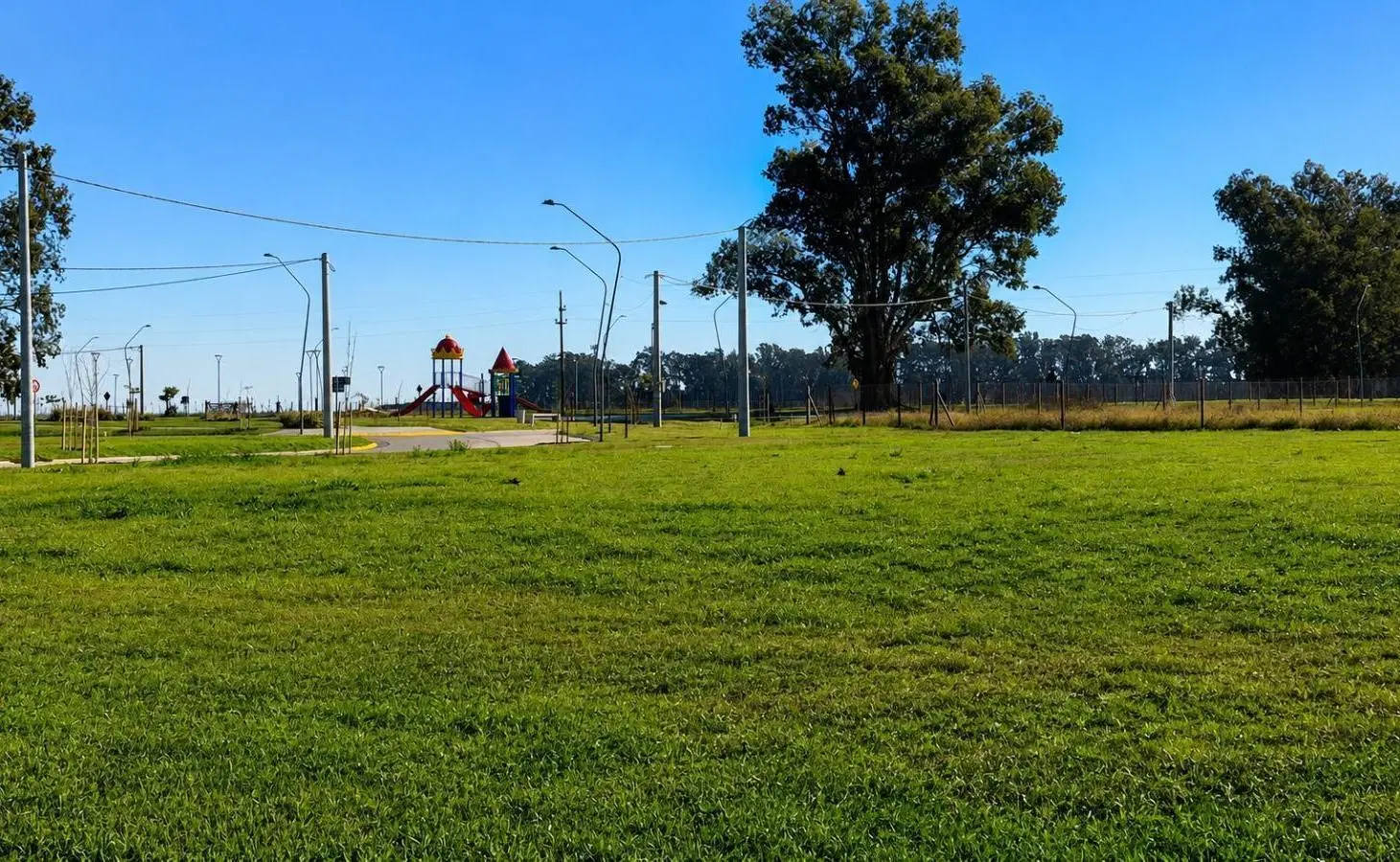Terreno en General Lagos 4