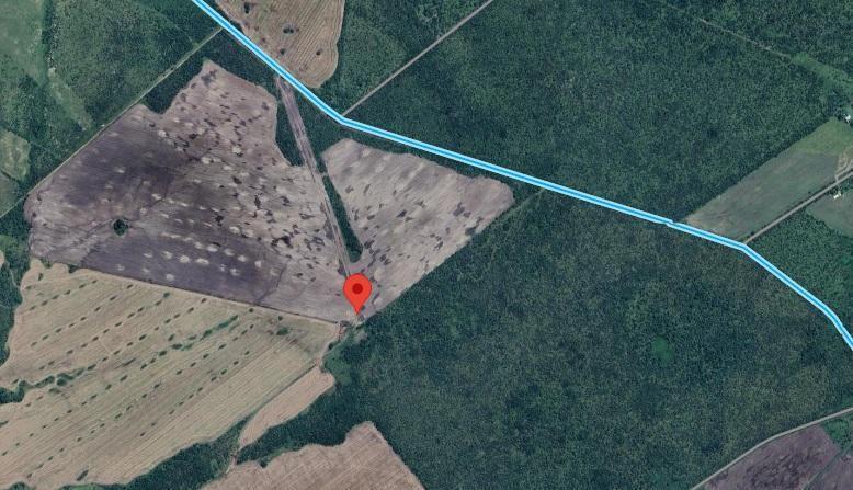 Foto de Campo en venta Sauce Luna, Federal, Entre ríos 535 hectáreas, imagen 1