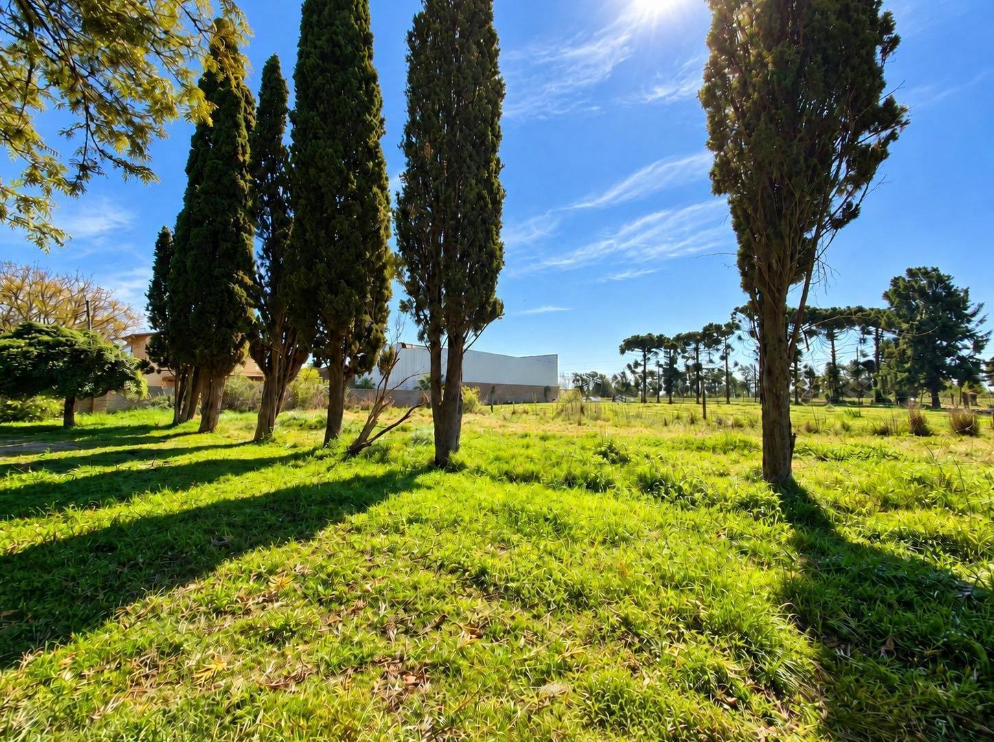 Foto de Terreno en Arroyo Seco, imagen 3