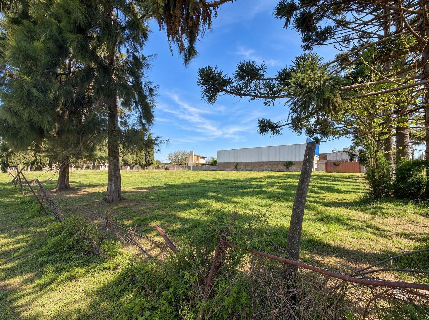 Foto de Terreno en Arroyo Seco, imagen 4