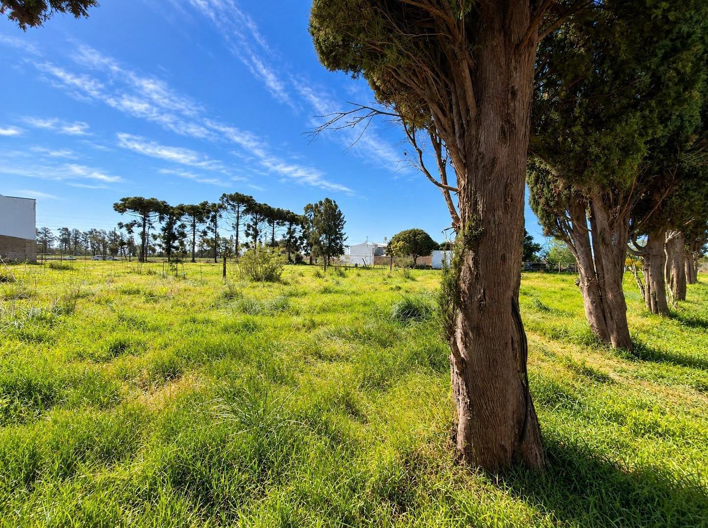 Foto de Terreno en Arroyo Seco, imagen 1