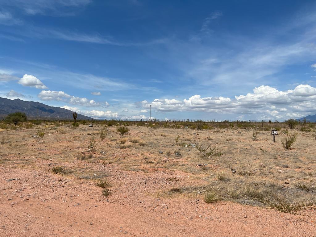 Venta Terreno Cafayate 3