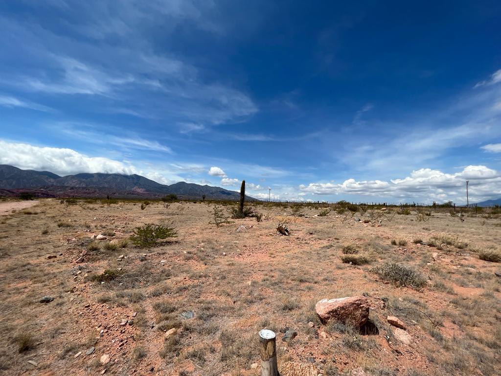 Venta Terreno Cafayate 4