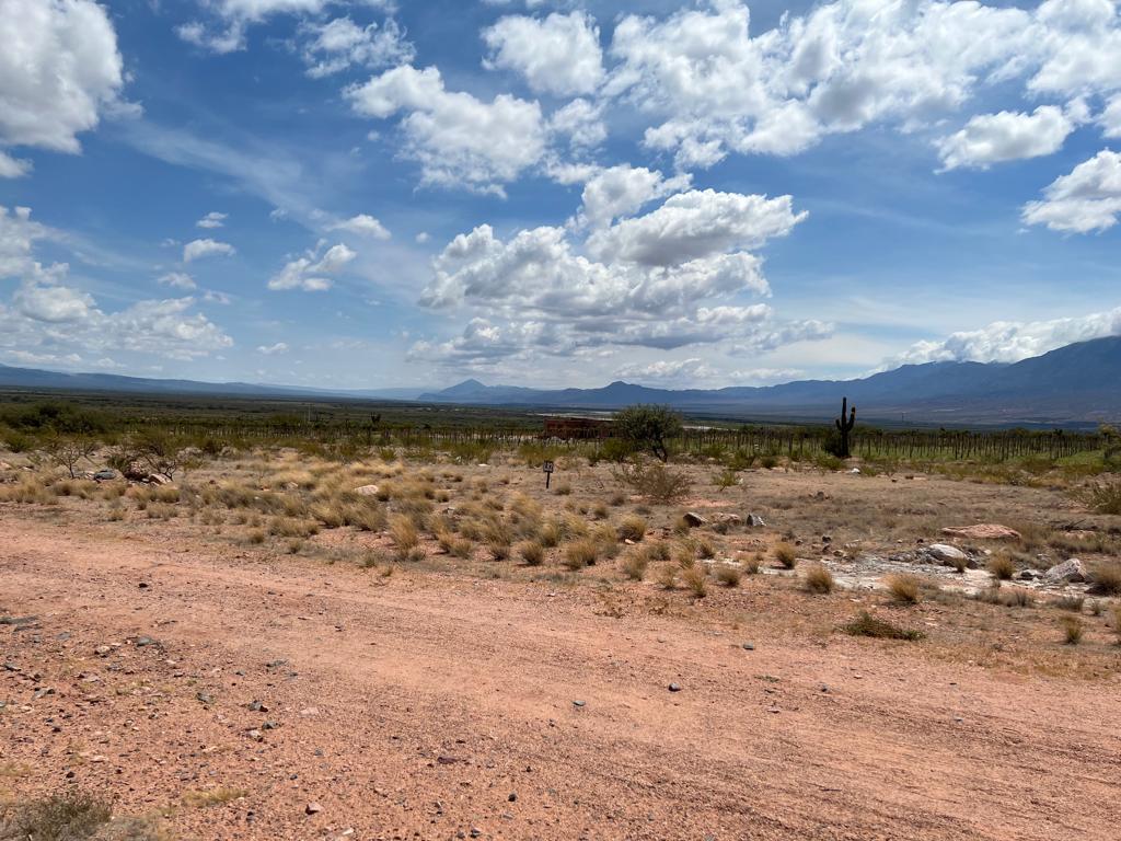 Venta Terreno Cafayate 5