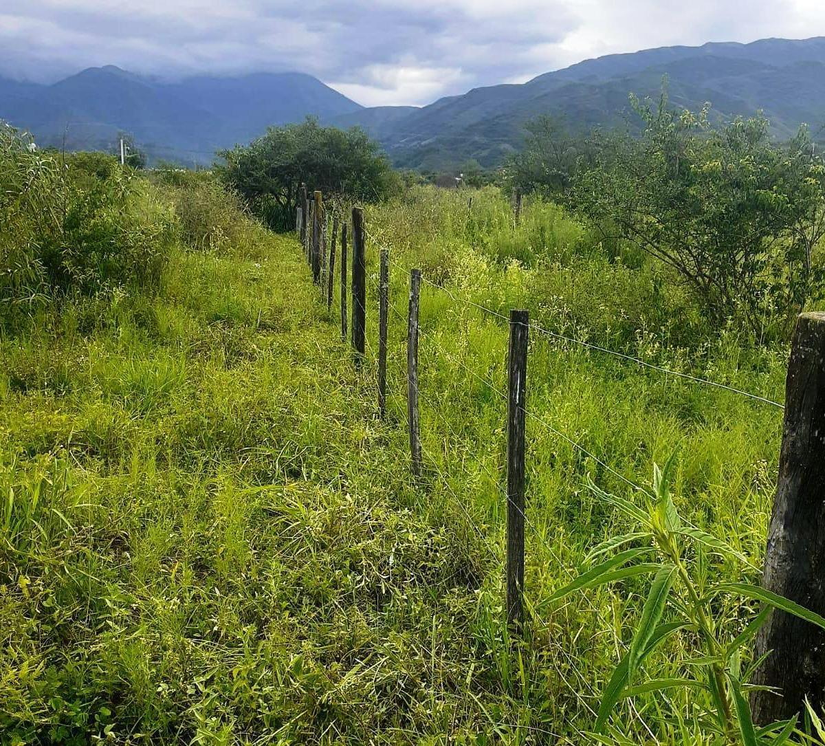 Venta Hectarea en Campo Quijano 3