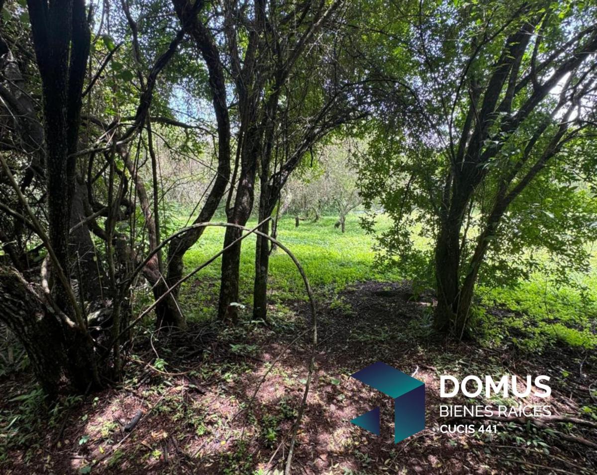 Venta Terreno Urbanización San Roque - La Calderilla 3