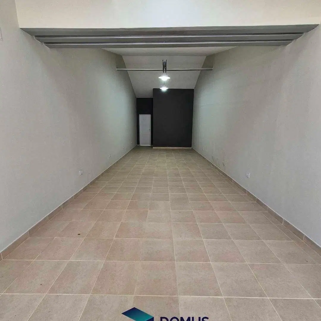 ALQUILER COMERCIAL AVDA SAN MARTIN 2