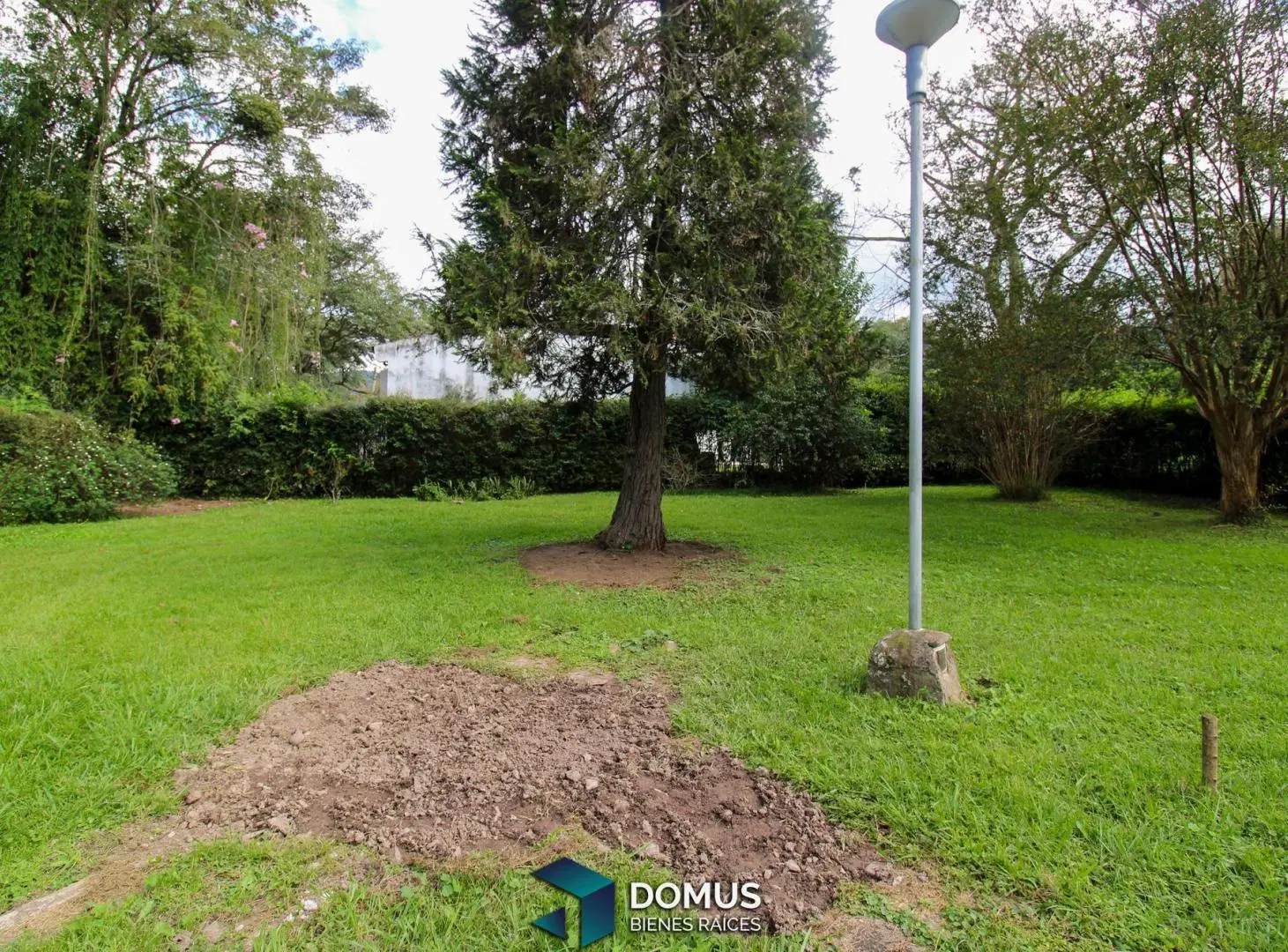 VENTA TERRENO SAN LORENZO 1600 M2 EN LA MEJOR ZONA 4