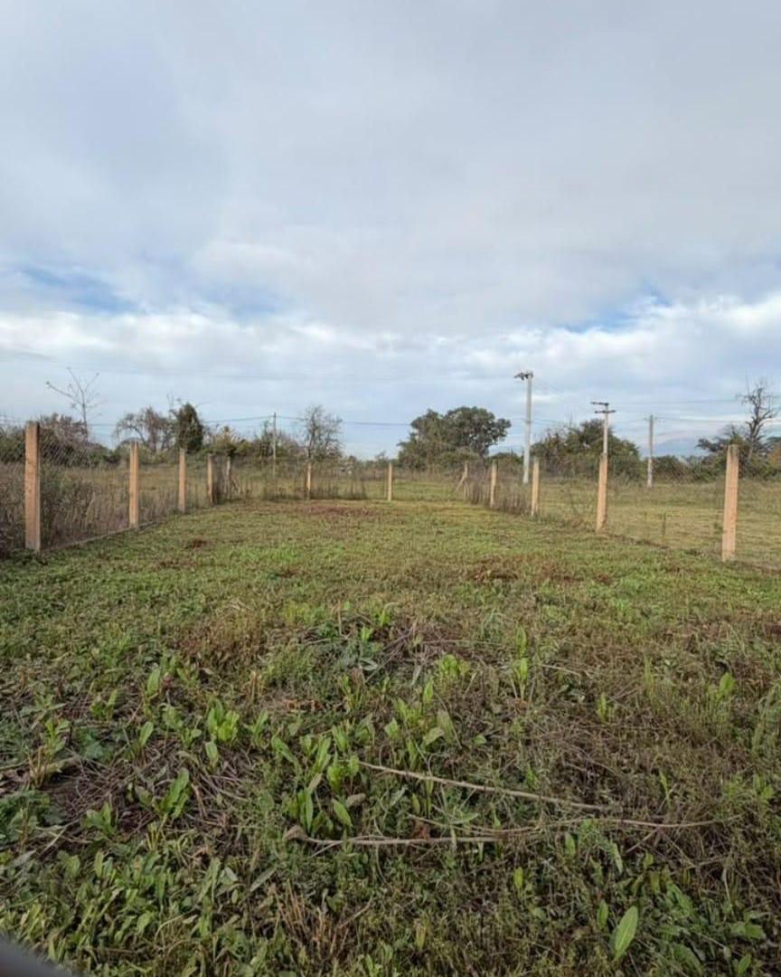 Foto de Venta terreno Septiembre - San Lorenzo Chico, imagen 2