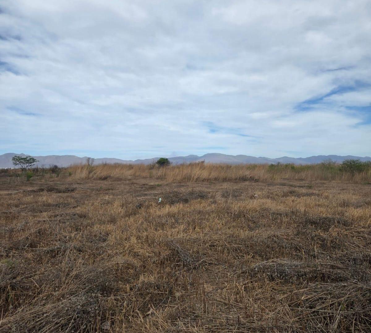 Foto de Venta Terreno - Una Hectárea, imagen 1