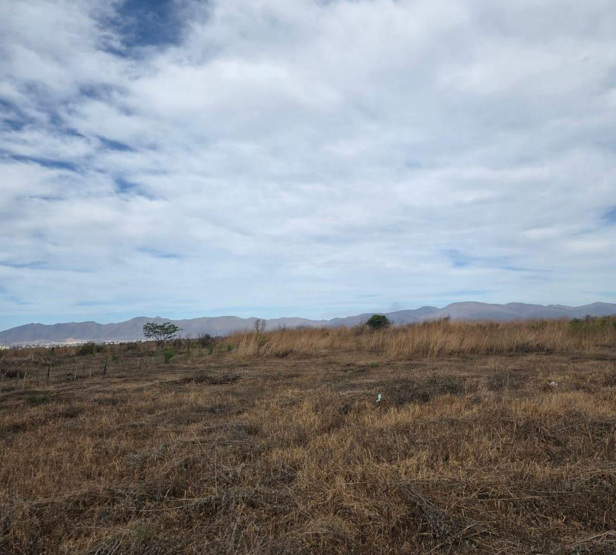 Foto de Venta Terreno - Una Hectárea, imagen 3