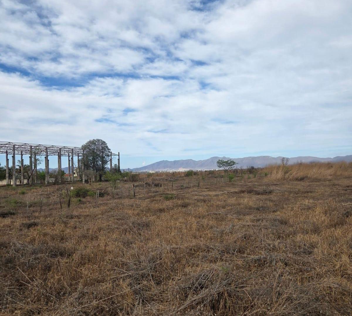 Foto de Venta Terreno - Una Hectárea, imagen 2