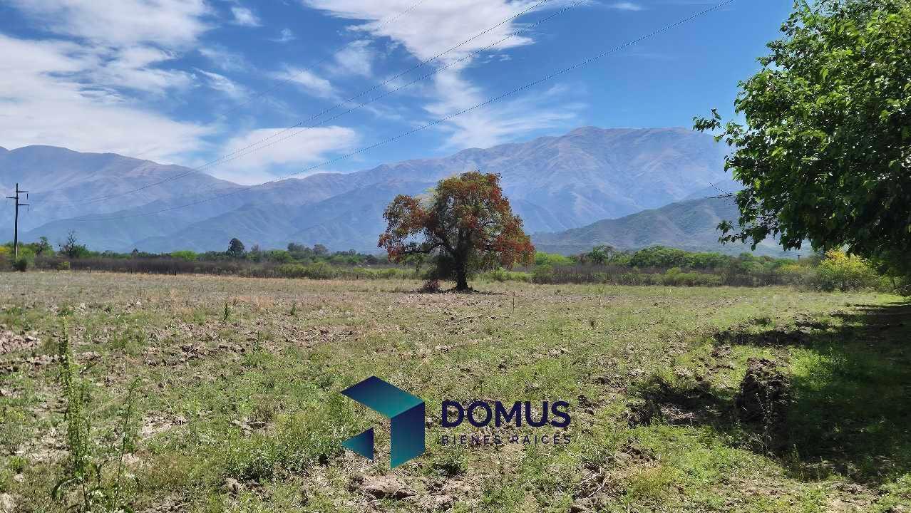 Foto de VENTA HECTAREAS LA SILLETA, imagen 5