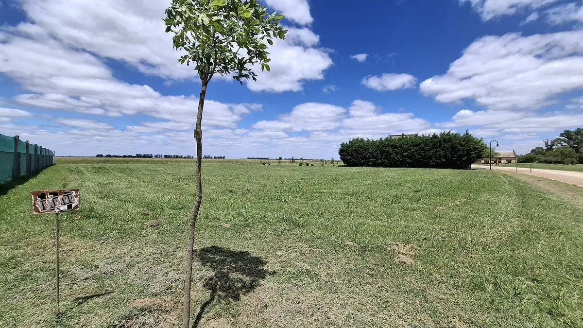 LOTE EN VENTA EN PEHUAJO 4