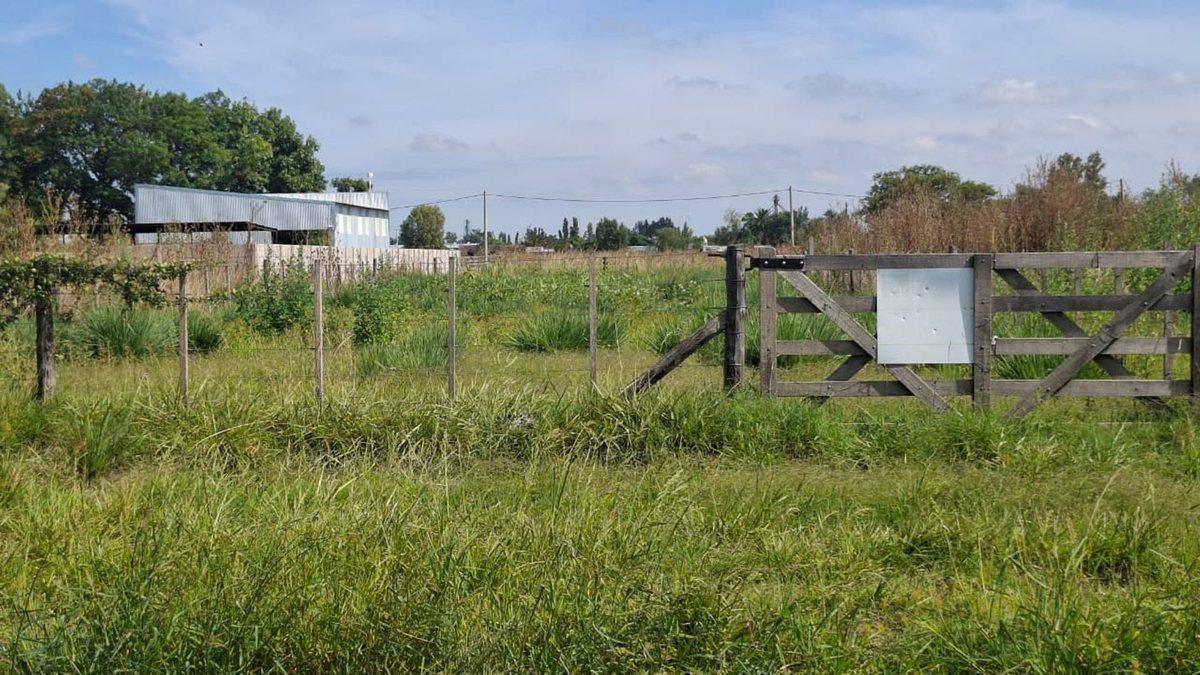 LOTE EN VENTA EN PEHUAJÓ