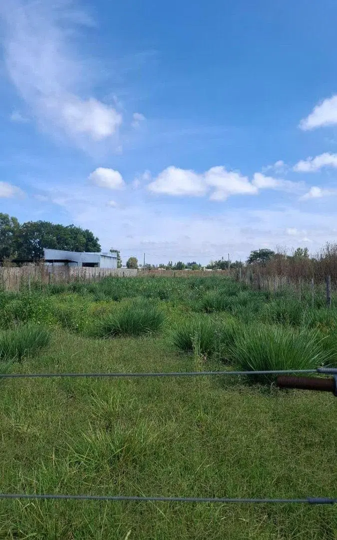 LOTE EN VENTA EN PEHUAJÓ 2