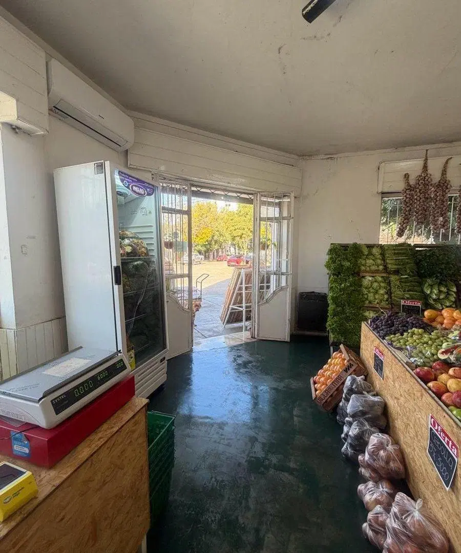 LOCALES EN VENTA EN PEHUAJO CON DEPARTAMENTO 5