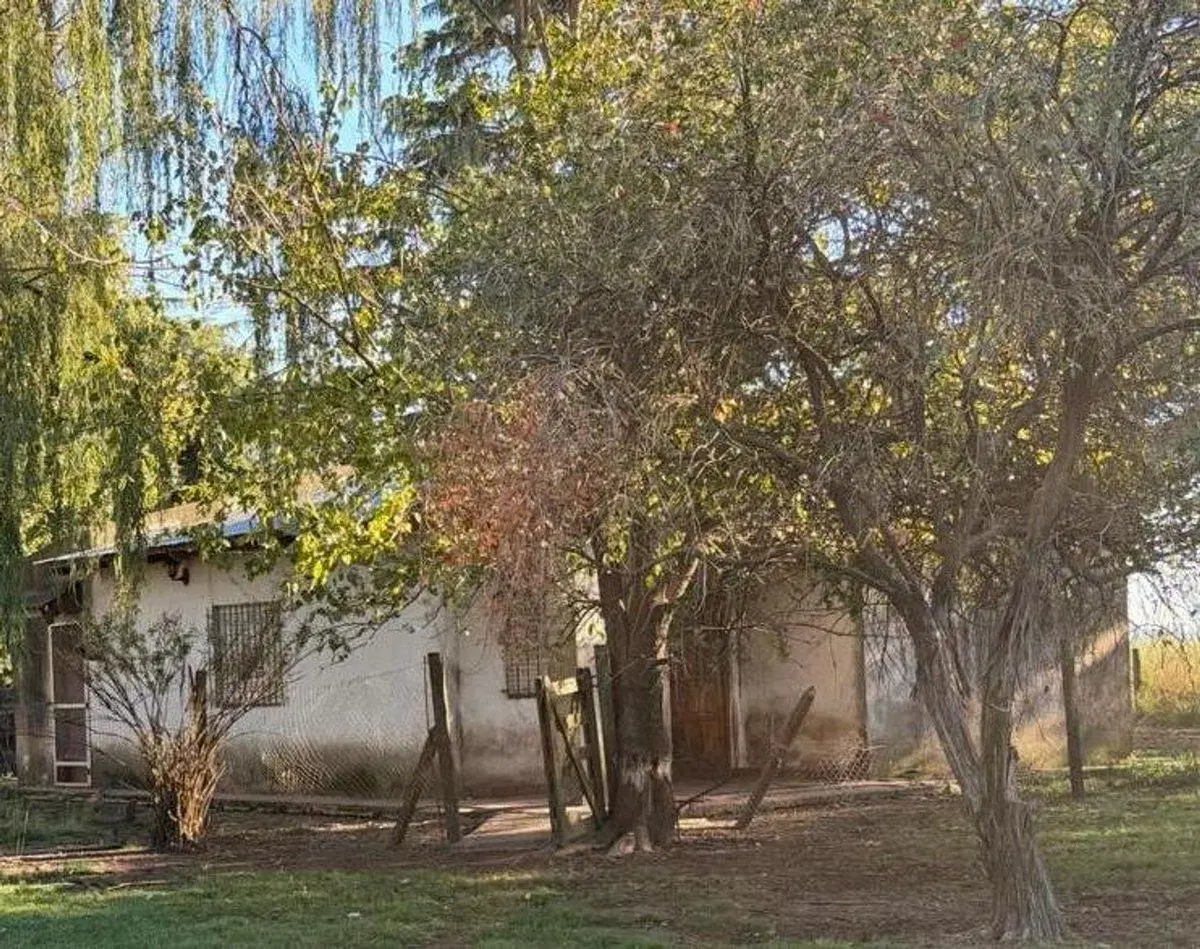 CHACRA EN VENTA EN 9 DE JULIO 5
