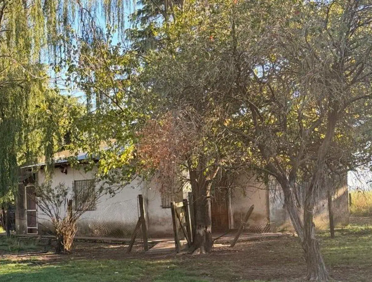 CHACRA EN VENTA EN 9 DE JULIO 4