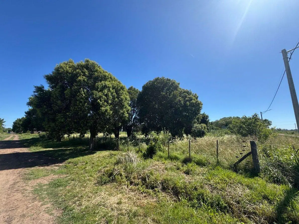 TERRENOS EN VENTA EN MANUEL OCAMPO 3