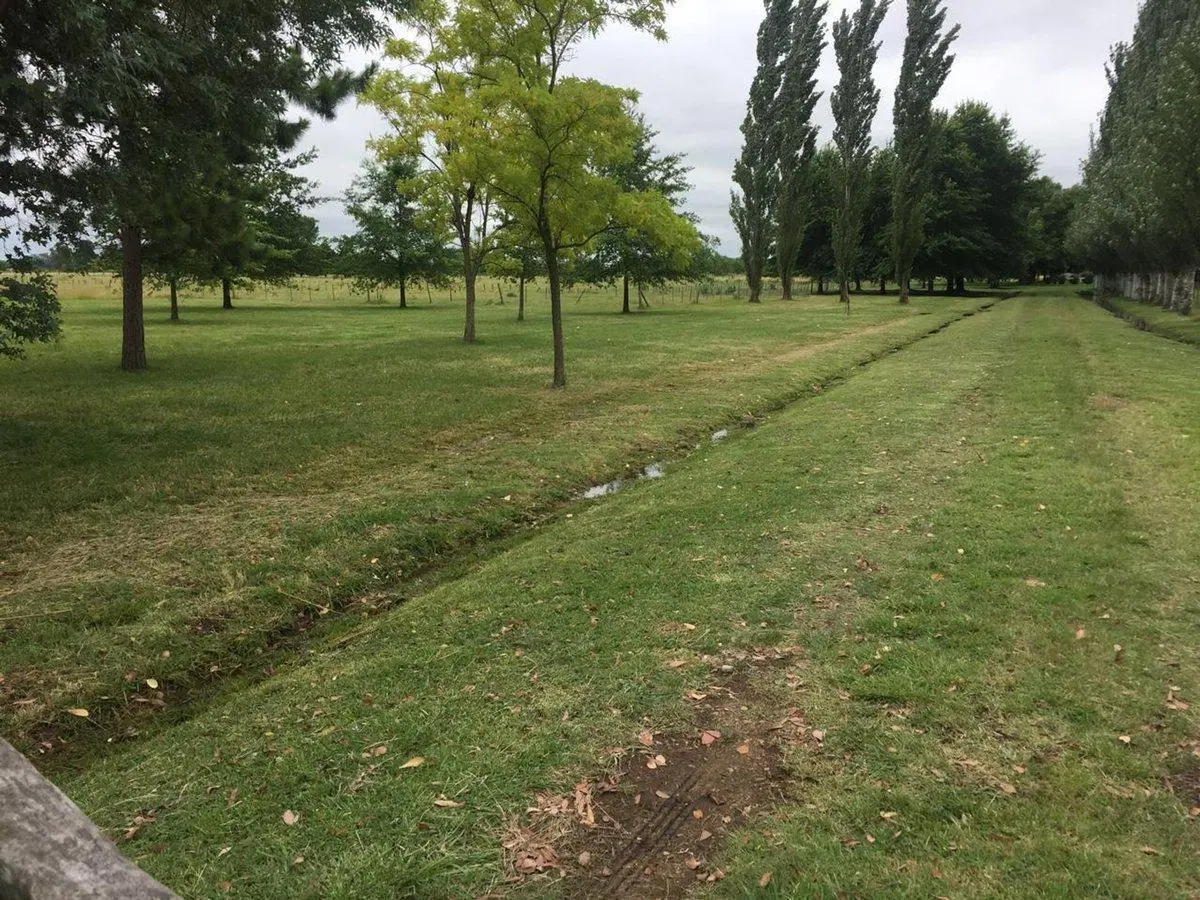 CAMPO EN VENTA EN GENERAL LAS HERAS 5