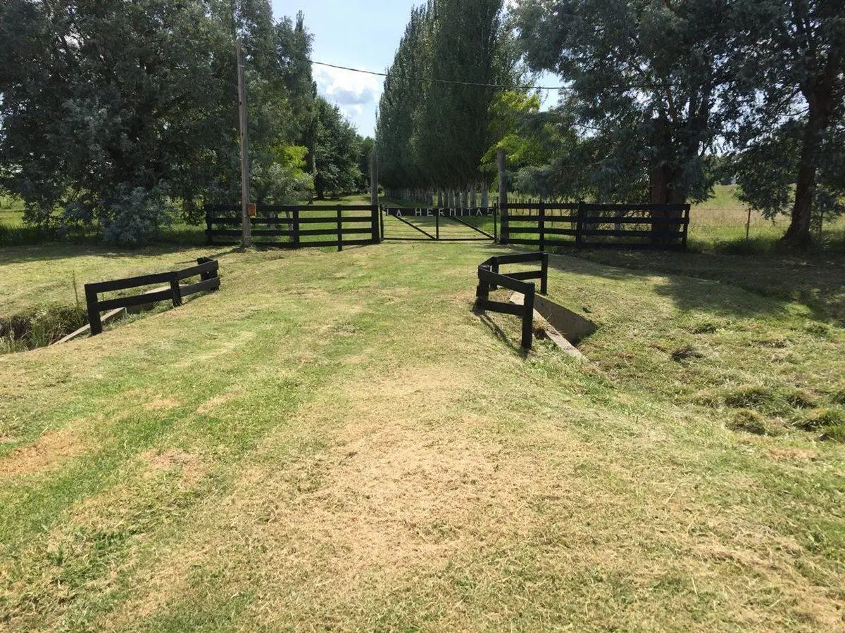 CAMPO EN VENTA EN GENERAL LAS HERAS 4