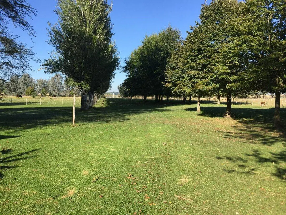 CAMPO EN VENTA EN GENERAL LAS HERAS 2