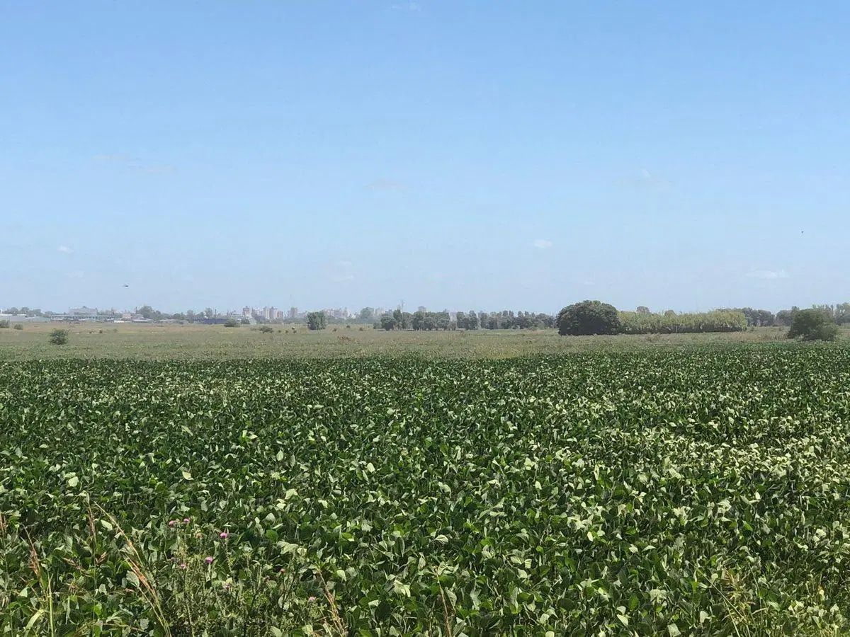 CAMPO EN VENTA EN PERGAMINO 2