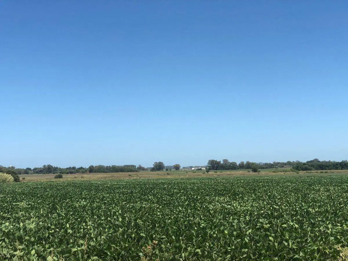 CAMPO EN VENTA EN PERGAMINO 5