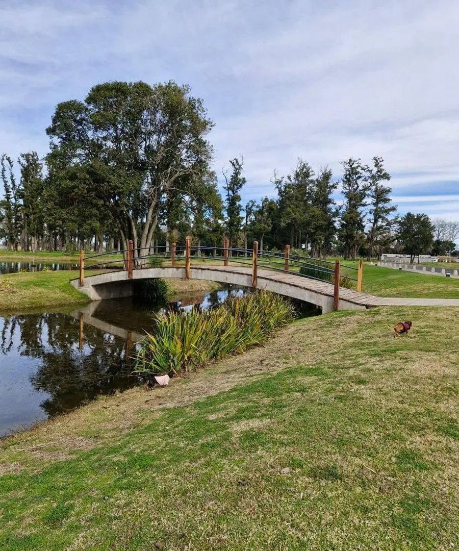 TERRENO EN VENTA EN RANCAGUA, PERGAMINO 3