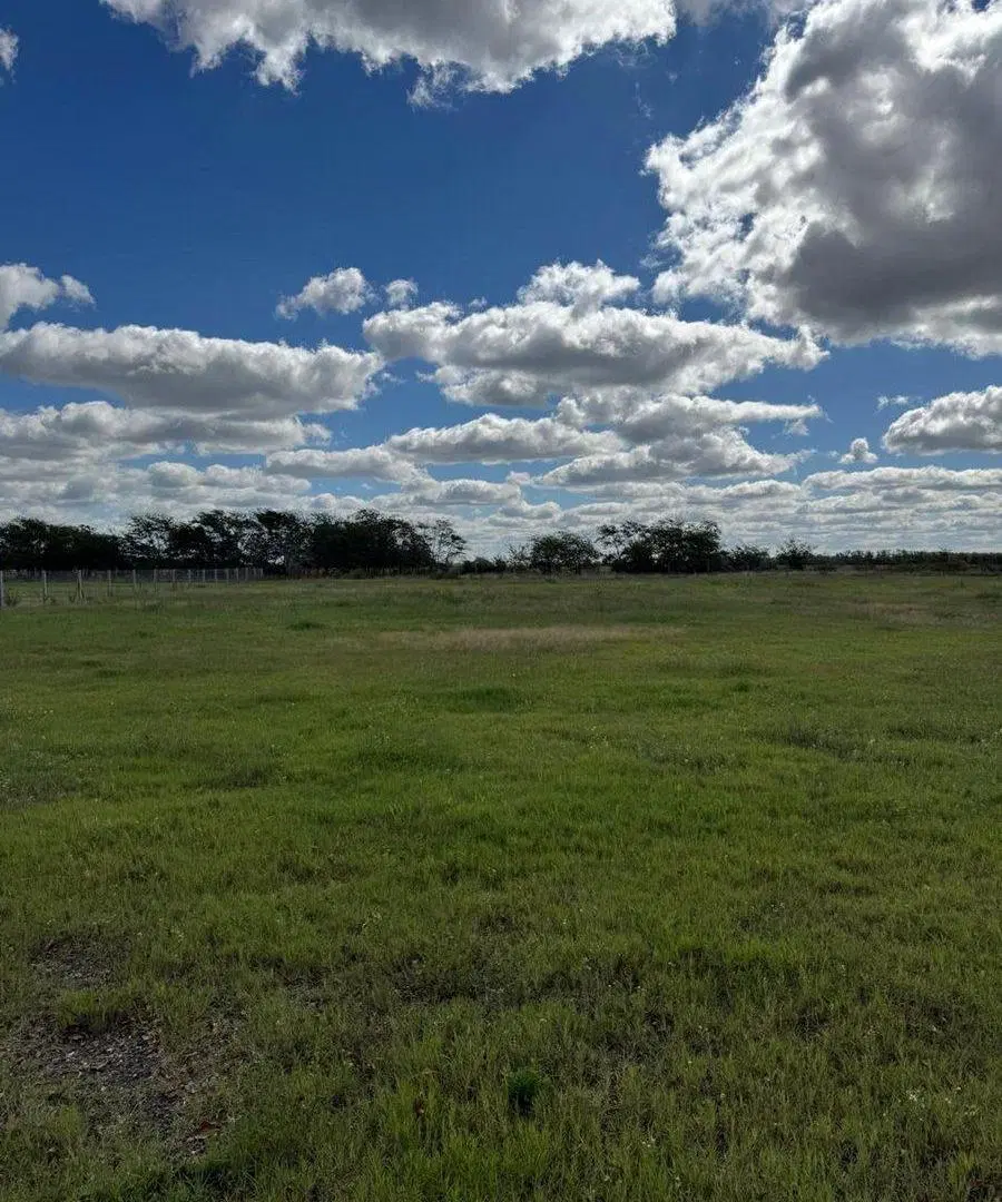 LOTE INDUSTRIAL EN VENTA EN LINCOLN 5