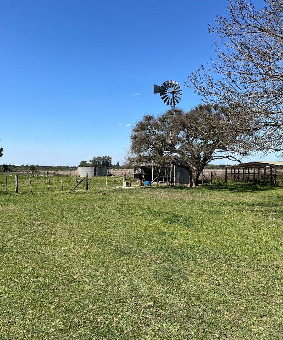 CAMPO AGRICOLA EN VENTA EN BARADERO