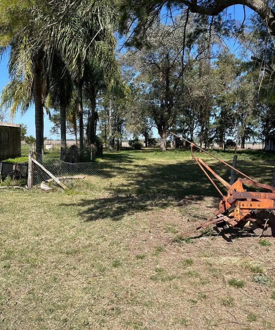 CAMPO AGRICOLA EN VENTA EN BARADERO 3