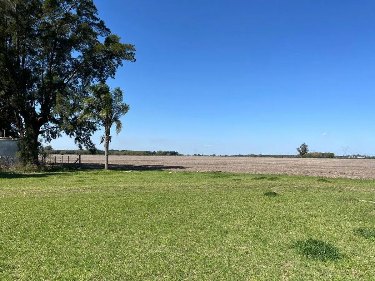 CAMPO AGRICOLA EN VENTA EN BARADERO 4